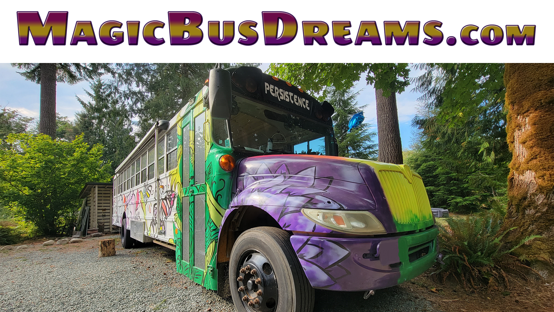 MAGIC BUS DREAMS WEBSITE